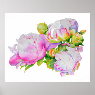 Classic elegant pink white peony floral watercolor poster