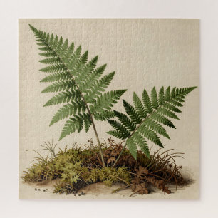 Classic Fern Botanical Jigsaw Puzzle