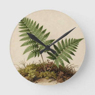 Classic Fern Botanical Round Clock