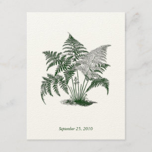 Classic Ferns Wedding Invitation