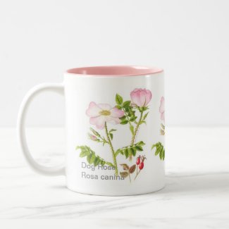 Classic Floral Mug - Dog Rose