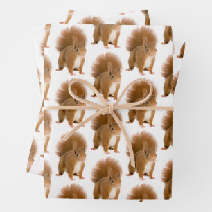 Classic Fluffy Red Squirrel Gift Wrap