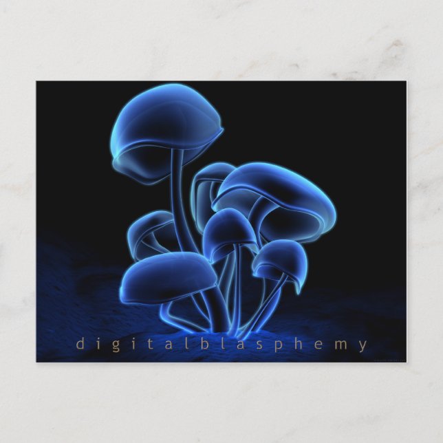 Classic Fluorescence Postcard (Front)