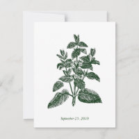 Classic Foliage Wedding