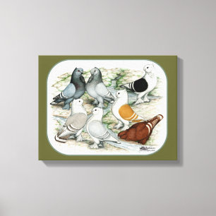 Classic Frill Barred Pigeons Canvas Print