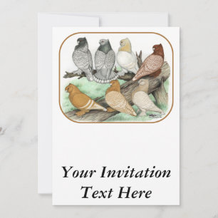 Classic Frill Pigeons Blondinettes Invitation