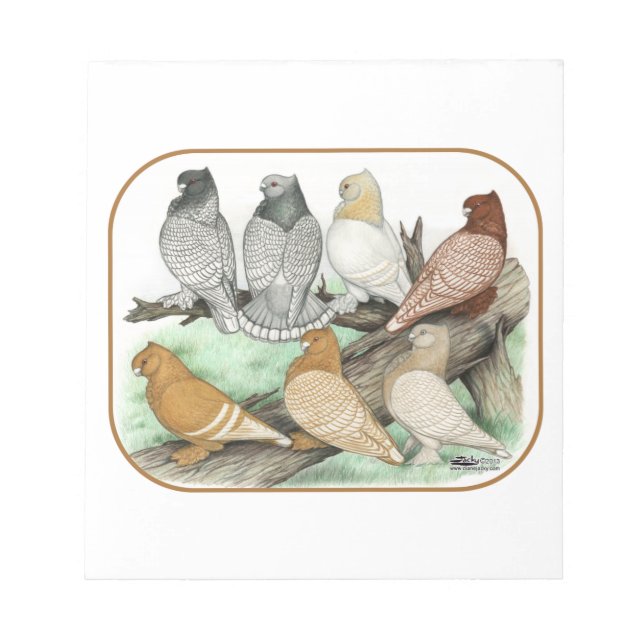 Classic Frill Pigeons Blondinettes Notepad (Front)