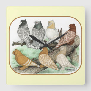 Classic Frill Pigeons Blondinettes Square Wall Clock