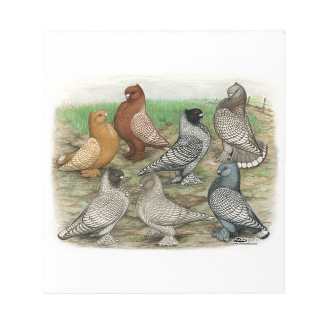 Classic Frill Pigeons Laced Blondinettes Notepad (Front)