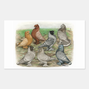 Classic Frill Pigeons Laced Blondinettes Rectangular Sticker