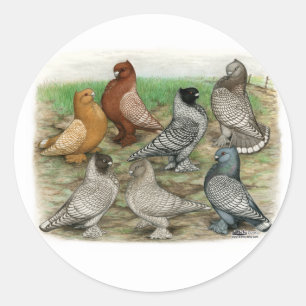 Classic Frill Pigeons Laced Blondinettes Round Sticker