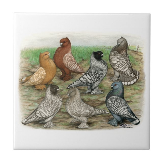 Classic Frill Pigeons Laced Blondinettes Tile (Front)