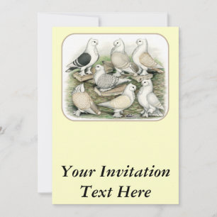 Classic Frill Pigeons Satinettes Invitation