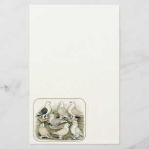 Classic Frill Pigeons Satinettes Stationery