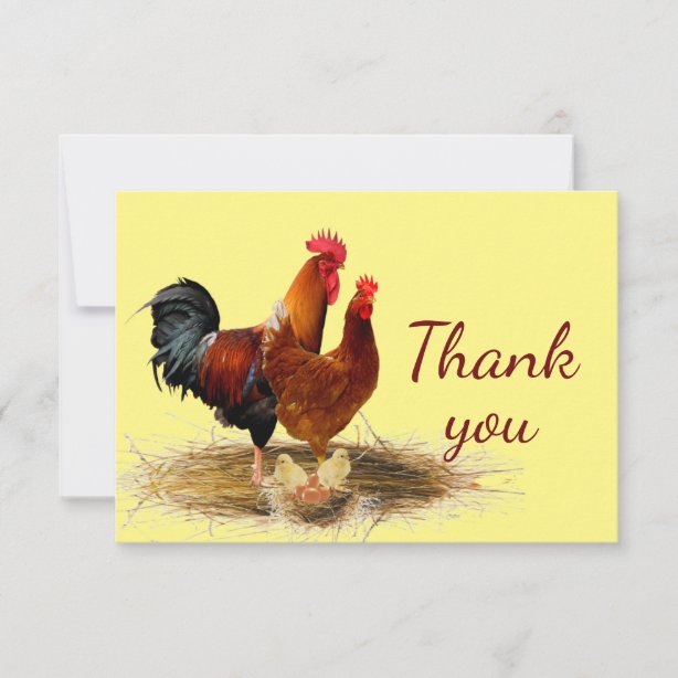 Chicken Thank You Cards | Zazzle UK