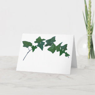 Classic Green English Ivy Card