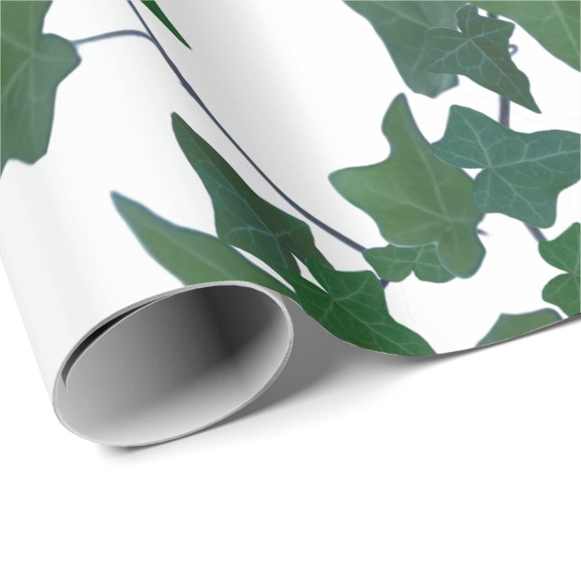 Classic green English ivy Wrapping Paper (Roll Corner)