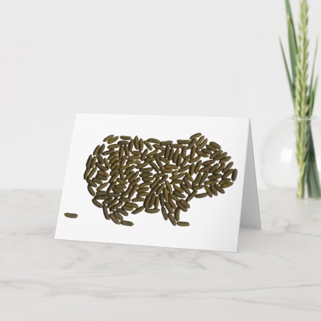 Classic Guinea Pig Card (Front)