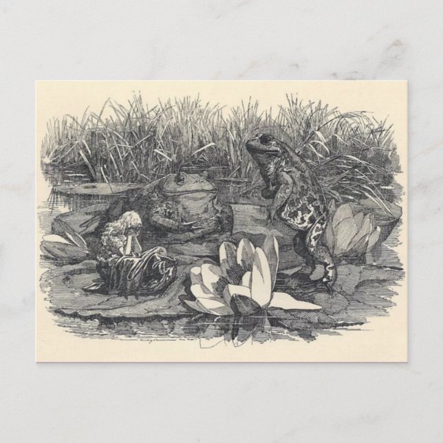 Classic Illustration Postcard (Front)