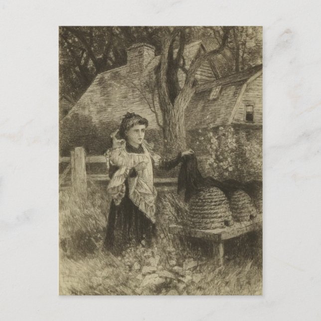 Classic Illustration Postcard (Front)