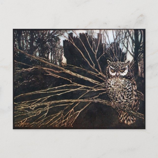 Classic Illustration Postcard (Front)