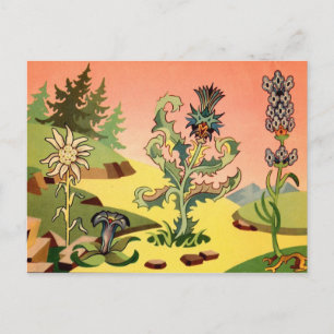 Classic Illustration Postcard