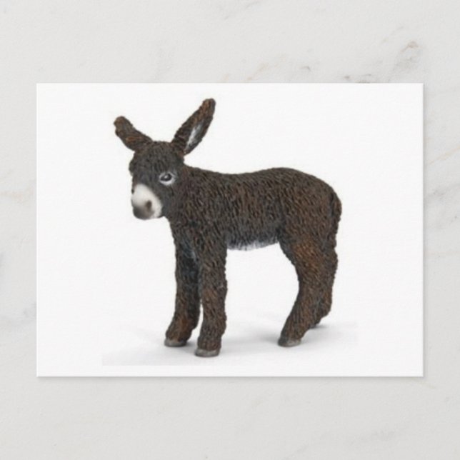 Classic Illustration Postcard (Front)