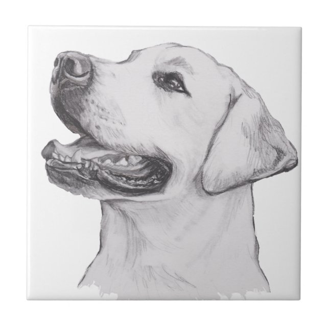Classic Labrador Retriever Dog profile Drawing Tile (Front)