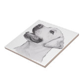 Classic Labrador Retriever Dog profile Drawing Tile (Side)