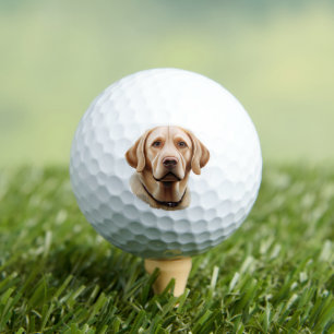 Classic Labrador Retriever Illustration Golf Balls