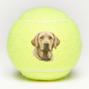 Classic Labrador Retriever Illustration Tennis Balls