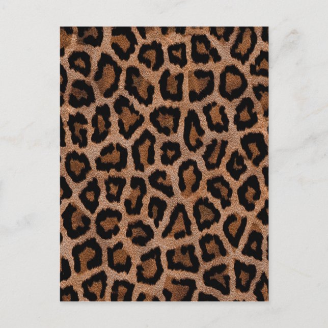 Classic Leopard Pattern Animal Print Postcard (Front)