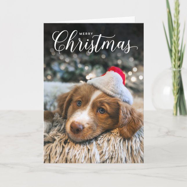 Classic Merry Christmas Type Photo Card (Front)