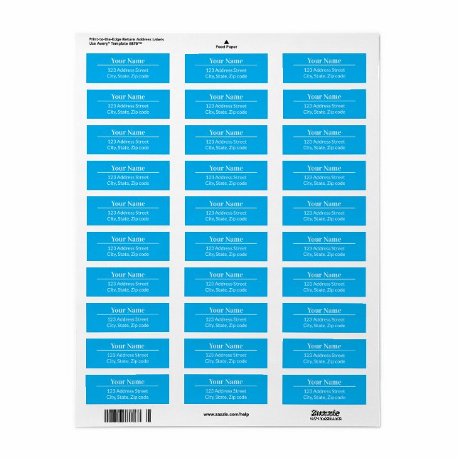 Classic Modern Minimalist Sky Blue Name Address (Full Sheet)