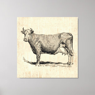 Classic Old Fashioned Cow Art Canvas Print