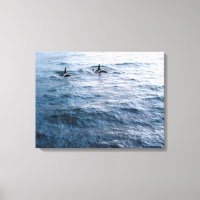 Classic Orca Whale Pair Ocean Scene Photo Designed