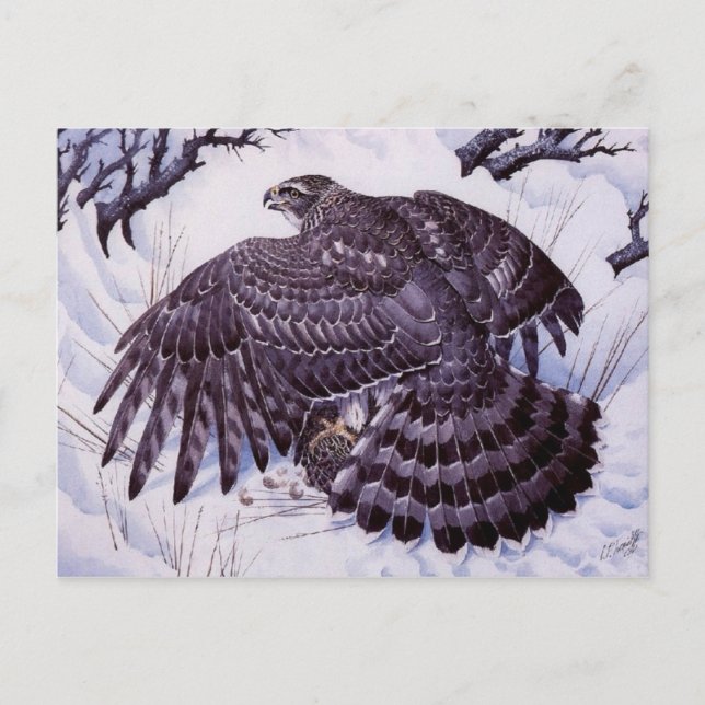 Classic Painting Postcard (Front)