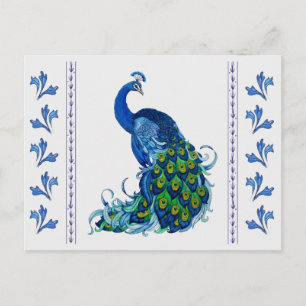 Classic Peacock Design Postcard