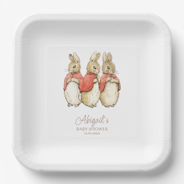 Classic Peter the Rabbit Baby Shower Paper Plate (Front)