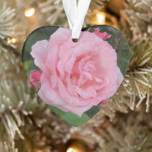 Classic Pink Rose Acrylic Ornament