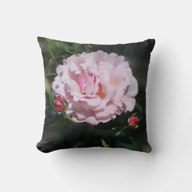 Classic Pink Rose Beautiful Nature Photograph Cushion (Front)