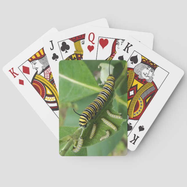 Classic Playing Cards (Back)