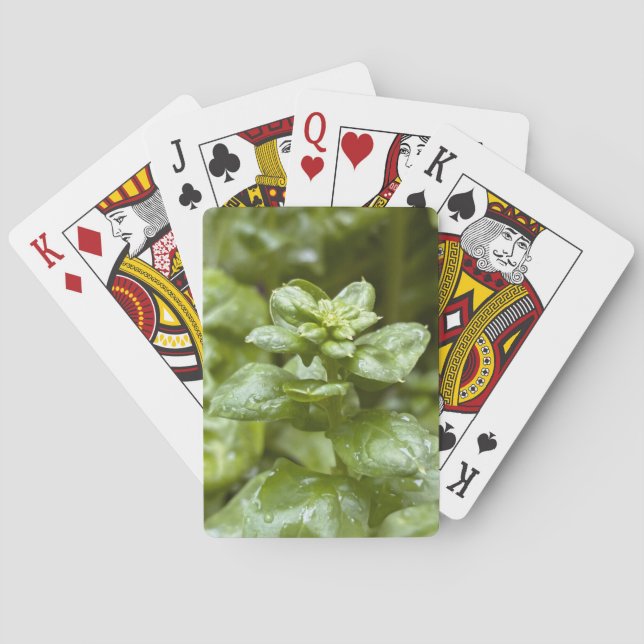 Classic Playing Cards (Back)
