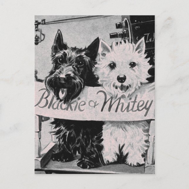 * Classic Pretty Poochies Pink Postcard * (Front)