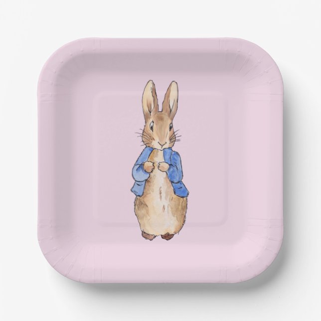 Classic Rabbit Pink Background Paper Plate (Front)
