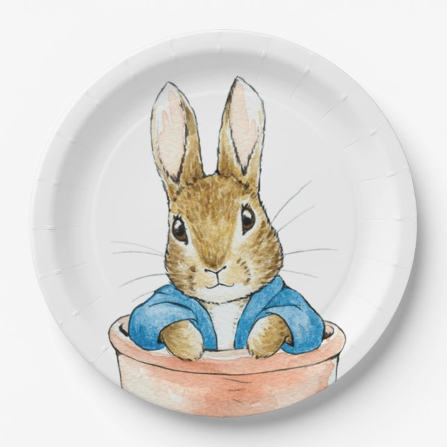 Classic rabbit sitting in plant pot paper plate (Front)
