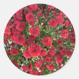 Classic Round Sticker