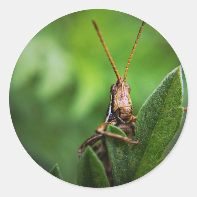 Classic Round Sticker (Front)