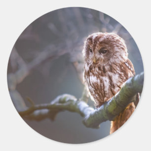 Classic Round Sticker