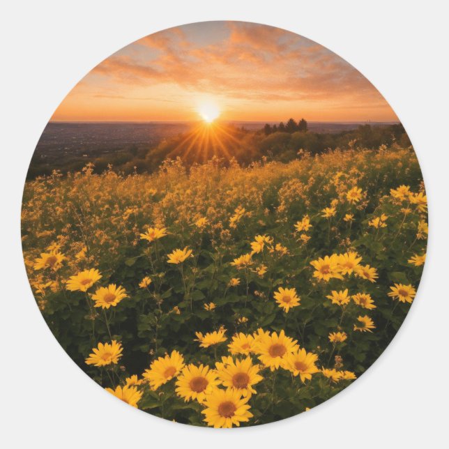 Classic Round Stickers (Front)